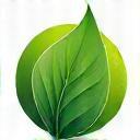 Símbolo de sustentabilidade em ambiente de estúdio